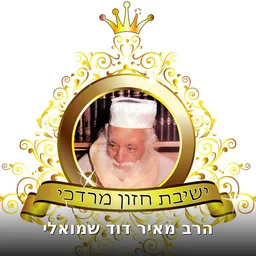 הרב מאיר דוד שמואלי