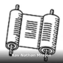 Rav Nathan Mrejen
