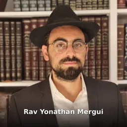 Rav Yonathan Mergui